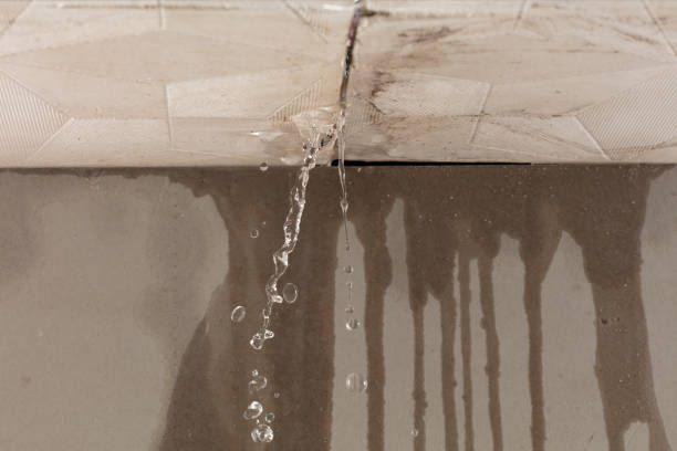 Professional Commercial Water Damage Restoration technician working in Woodland, MI